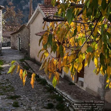 Bezeniko Amazing Arcadian Property! Vlacherna Εξωτερικό φωτογραφία