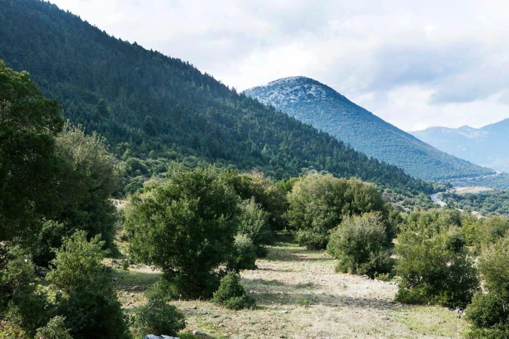 Bezeniko Amazing Arcadian Property! Vlacherna Εξωτερικό φωτογραφία