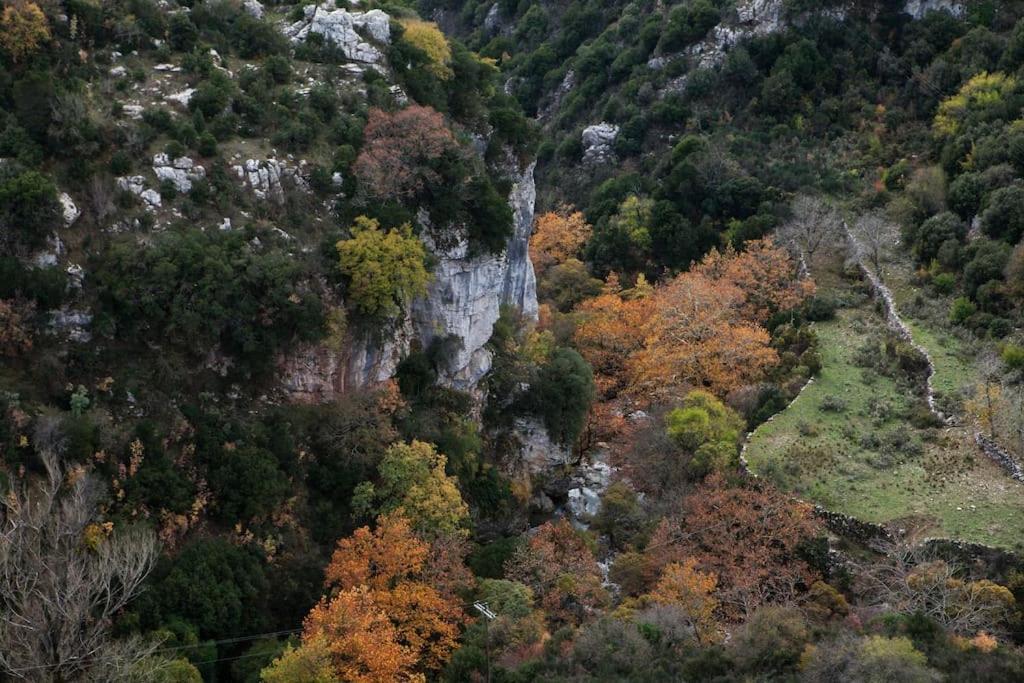 Bezeniko Amazing Arcadian Property! Vlacherna Εξωτερικό φωτογραφία